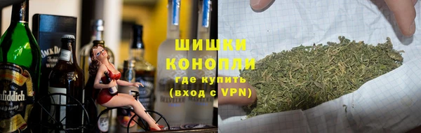 ПСИЛОЦИБИНОВЫЕ ГРИБЫ Алексин