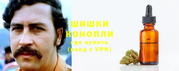 ешки Алзамай