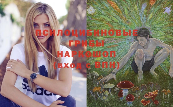 2c-b Алексеевка