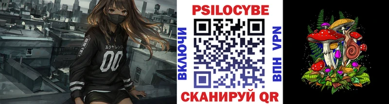 Псилоцибиновые грибы мицелий Эртиль